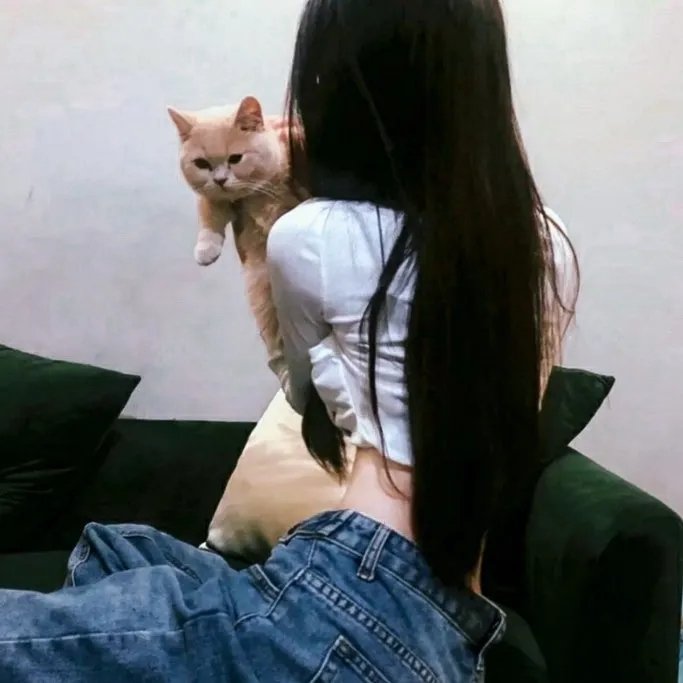 独臂拳王